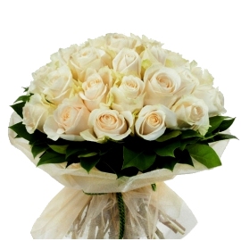 35 Սպիտակ շքեղ վարդեր